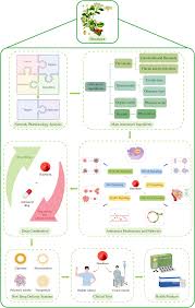 Image result for Pimpinella sp. A. of FZ 4: 594