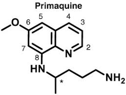 Image result for Primaquine