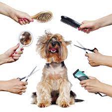 Individual animals regularly clean themselves and put their fur. Four Paw Dog Grooming Brisbane Home