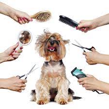 The things that you do to make your appearance clean and neat, for example brushing your hair…. Four Paw Dog Grooming Brisbane Home