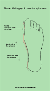 Foot Reflexology Complete How To Techniques Step By Step