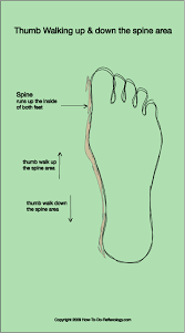 foot reflexology complete how to techniques step by step