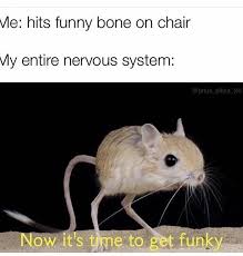 Pin On Bffs
