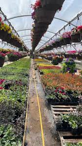 We did not find results for: Kuwahara Wholesale Home Facebook