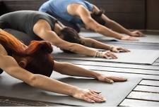 Yoga with Mallory — Millpond Brewing