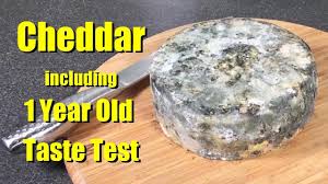 Simply type your search term into the search this blog window above. How To Make Cheddar Cheese With All Updates And Taste Tests Youtube