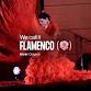 We Call It Flamenco