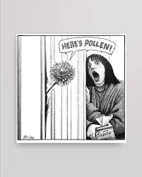 With The Sun Comes Hayfever The Summer Giveth With One Hand Any Other Sufferers Sneezing Yet Follow James Allergies Funny Pop Culture Art Memes