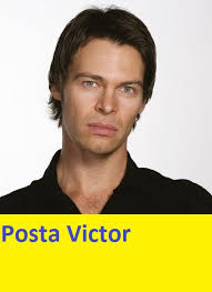 William Levy állandó magyarhangja az Árva angyal óta, de később  szinkronizálta Daniel Arenast a Teresa-ban, Julian Gilt a Megkövült  Szívekben és még sok mindenki mást, de nekem valahogy mindig William Levy  jut