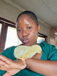 Common diseases in broiler birds and their causes