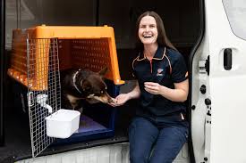 Check spelling or type a new query. Our Pet Handlers Pet Transport Fleet Jetpets Au
