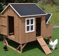 omitree Solid Wood Backyard Chicken Coop Hen House with 3 Nesting Boxes,  Fits 4-8 Chickens