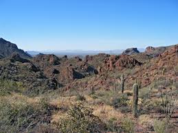 Find the perfect organ pipe cactus national monument stock photos and editorial news pictures from getty images. Bull Pasture Bull Pasture Estes Canyon Trail Organ Pipe Cactus National Monument Arizona