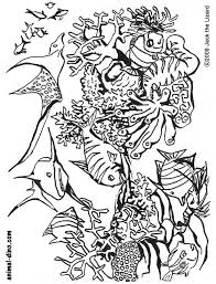 There's something for everyone from beginners to the advanced. Under The Sea Coloring Sheets Coloring Home