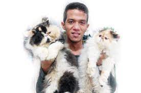 We did not find results for: Kembangbiakkan Kucing Bisnis Yang Menjanjikan Medanbisnisdaily Com