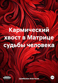 Читать онлайн «Кармический хвост в Матрице судьбы человека», Анастасия  Сергеевна Цымбалюк – ЛитРес, страница 3