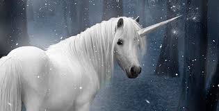 ﻿shop furniture and décor you'll love! Flying Unicorn Real Life Novocom Top