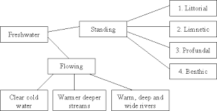 Water Ecology Faq