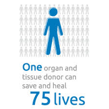 Image result for Tissue Donation