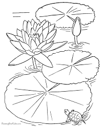 Instant download and ready to print, color, and frame (and get addicted to). Free Printable Flower Coloring Book Page June Bugs Snakes Frogs Coloring Home