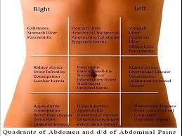 The hypochondriac region is controlled by liver in traditional chinese medicine. Differential Diagnosis Of Abdominal Pain According To Abdominal Regions Video Dailymotion