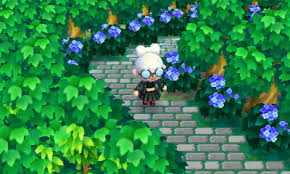 Outdoor Bush Lined Pathway With Surrounding Forest Animal Crossing Animal Crossing Qr Forest Animals