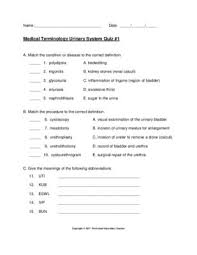 Medical Terminology Urinary System 3 Quiz Pack Medical Terminology Nervous System Lesson Plans Nervous System Lesson