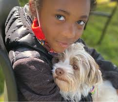 The Stink Bug Project