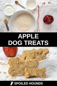 Homemade Apple Dog Treats Recipe Spoiled Hounds In 2021 Dog Treats Homemade Recipes Dog Treat Recipes Treat Recipe