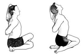 We did not find results for: Yoga Asana Names