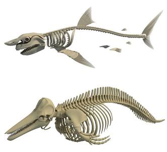 Bony skeleton vs. Cartilaginous frame, do AI tạo