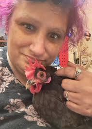 Bantam Cochin hen photo