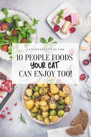 That's the best cat name i've ever heard. 10 Human Foods Cats Can Eat And Enjoy Cat Care Solutions