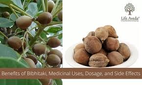 Image result for Terminalia bellirica