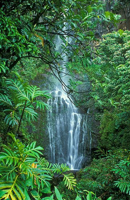 Top 10 Places on Maui for Landscape and Nature Photography