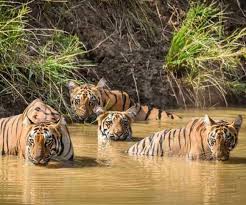 भरतपुर | BHARATPUR  | IBNTRO | TOURIST SPOT | IN HINDI 