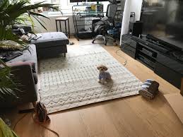 Rugs, lamps, bed protectors, pillows and pillow protectors. Does Anyone Know Anything About Rug Placement Where Should The Rug Be Designmyroom