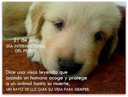 El 21 de julio no es la única fecha para homenajear al mejor amigo del hombre. Hoy 21 De Julio Dia Caminando Por La Vereda Del Sol Facebook