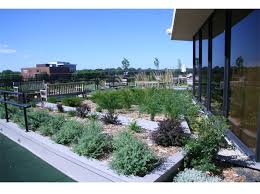 Is more of a rooftop garden or sky park than anything else. The Neese Memorial Rooftop Garden Greenroofs Com