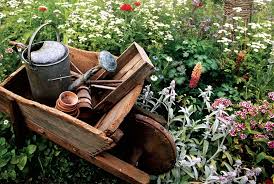 Advertisement for most of these plants, plant in blocks of three for maximum impact and ease of maintenance. How To Plant An English Cottage Garden