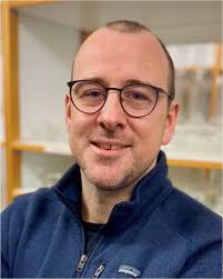 Triazenide based metal precursors for vapour deposition