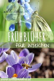 Insektenfreundliche Fruhbluher Fur Den Garten Bienenfreundliche Blumen Garten Insekten