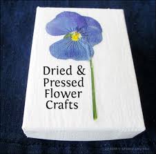 These pressed flower monograms in frames are the kind of craft that will look absolutely gorgeous anywhere in your home. Dried And Pressed Flower Crafts Literary Spring Designs