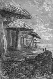 Journey To The Center Of The Earth Bedtime Stories Hollow Earth Jules Verne Art