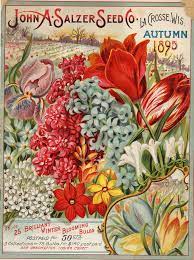 Check spelling or type a new query. Digital Jigsaw Puzzles January Edition Smithsonian Libraries Unbound