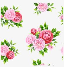 Check spelling or type a new query. Hand Painted Pale Pink Tea Flower Png Background Light Pink Flowers Png Transparent Png 1024x1024 Free Download On Nicepng