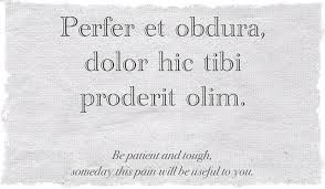 Famous Latin Phrases And Meanings Letter Meaning Latin Quotes Latin Phrases Latin Quotes Inspirational