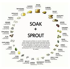 Soaking Sprouting Nuts Seeds Grains Easy Chart