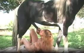 Chica alimenta a un caballo y despues se lo folla | xxxcaballos.com