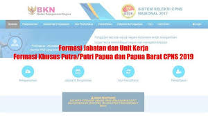 Ada dua jenis formasi yang dibuka pada cpns tahun 2019 ini, yaitu formasi umum dan formasi khusus. Formasi Jabatan Dan Unit Kerja Formasi Khusus Putra Putri Papua Dan Papua Barat Cpns 2019 Tribun Sumsel